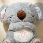 Osito Koala con Luz y Sonido